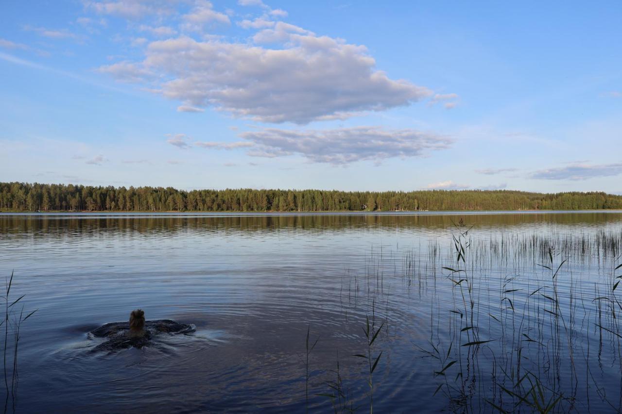 Kotatuli Forest Lodge Rovaniemi Buitenkant foto