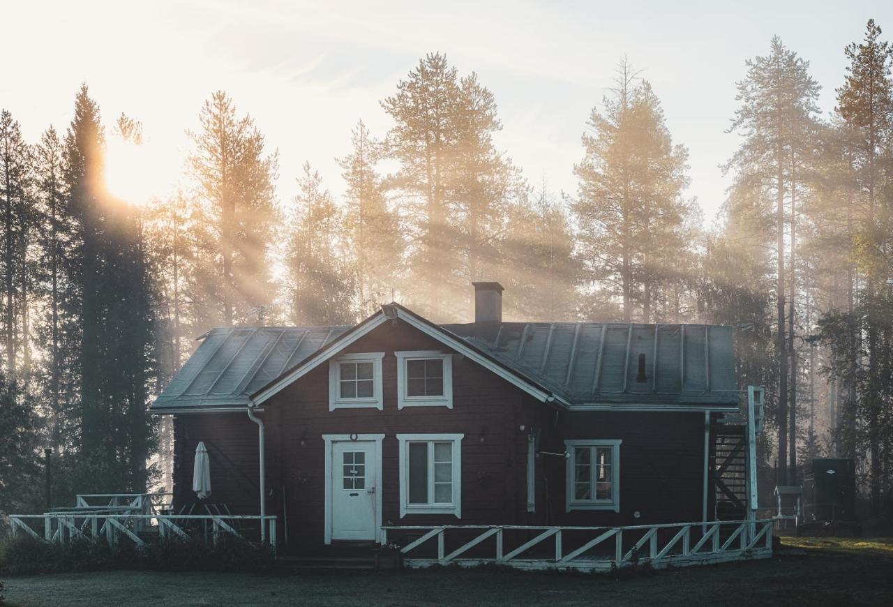 Kotatuli Forest Lodge Rovaniemi Buitenkant foto