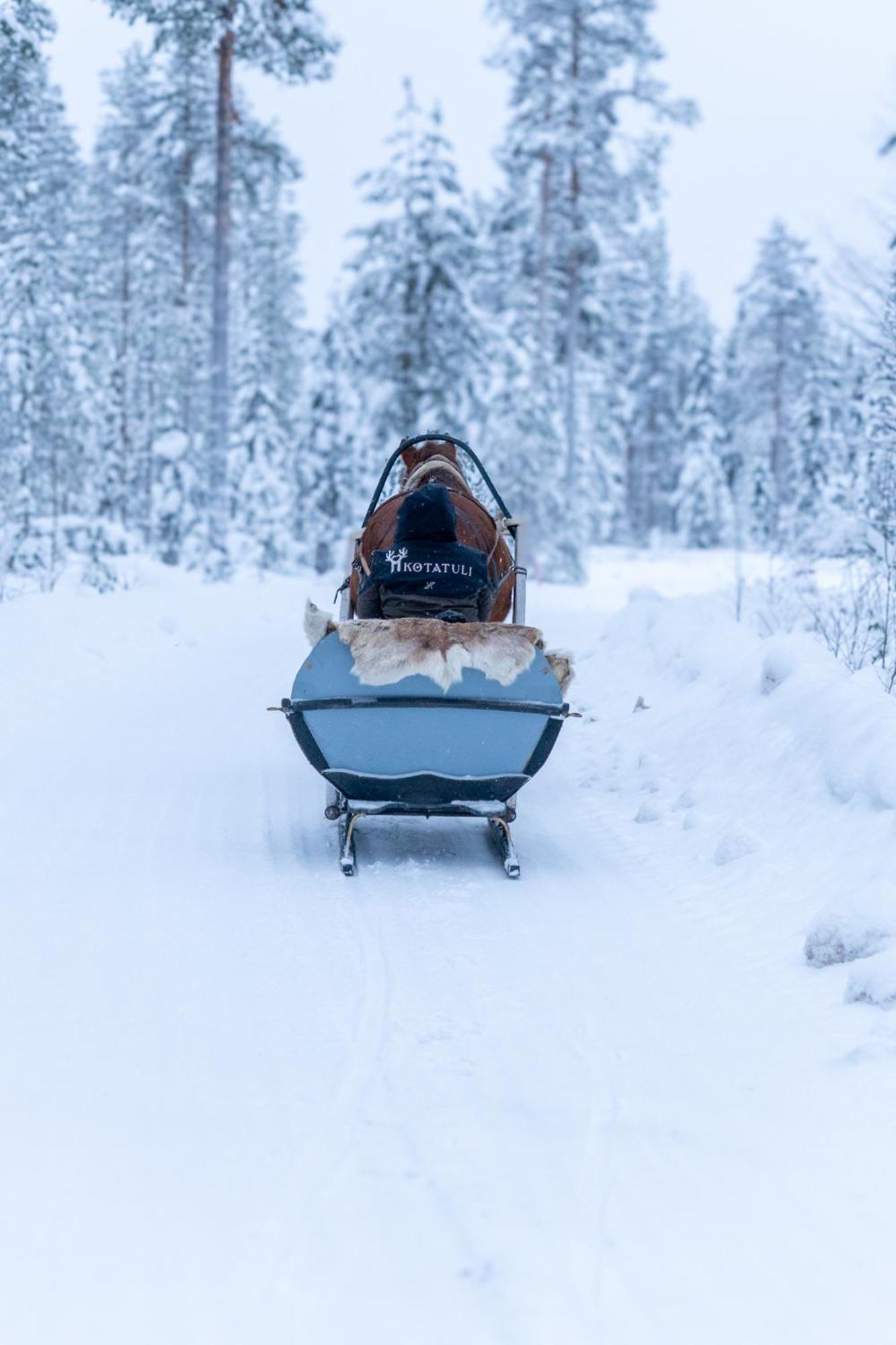 Kotatuli Forest Lodge Rovaniemi Buitenkant foto