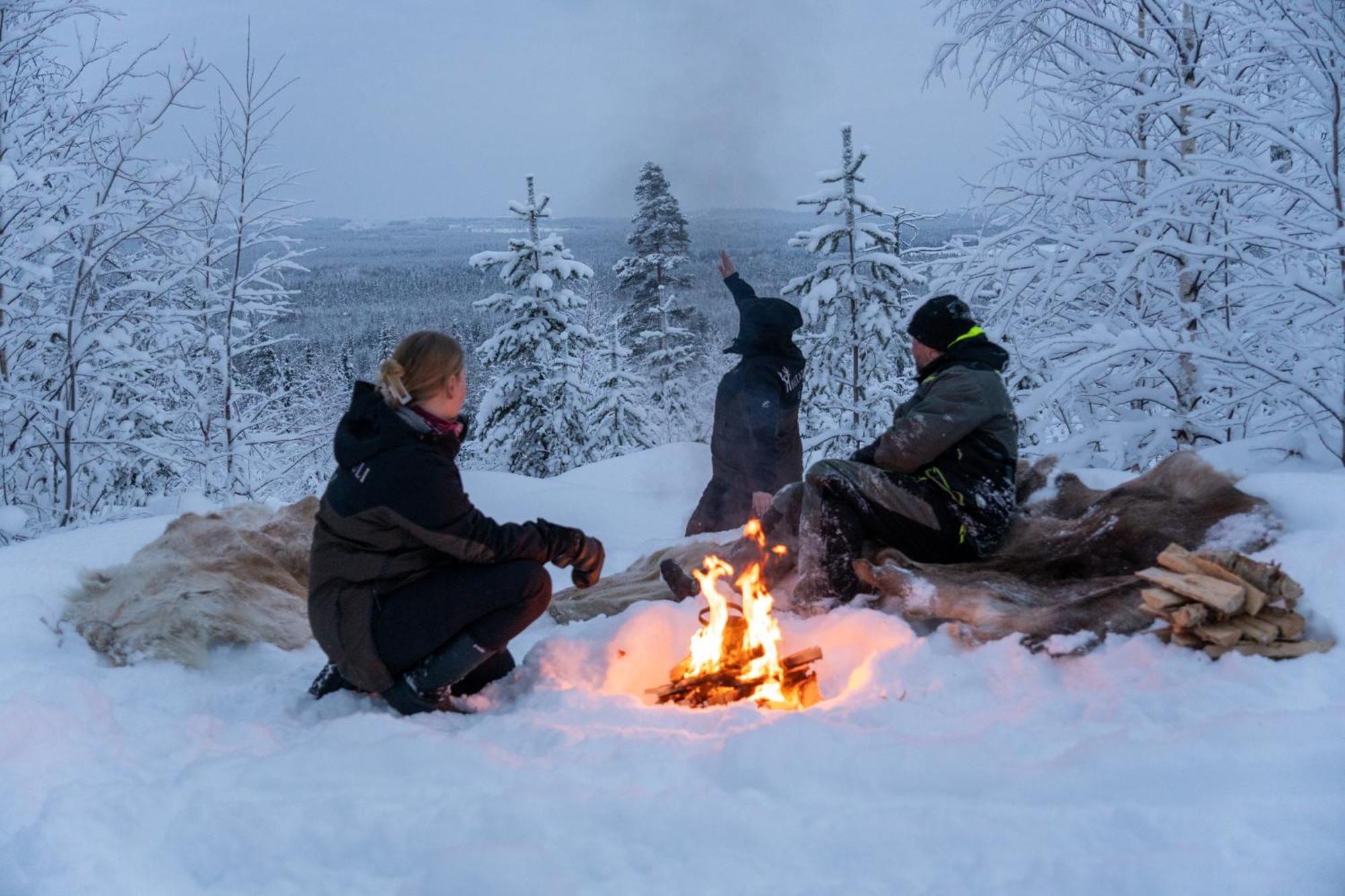 Kotatuli Forest Lodge Rovaniemi Buitenkant foto