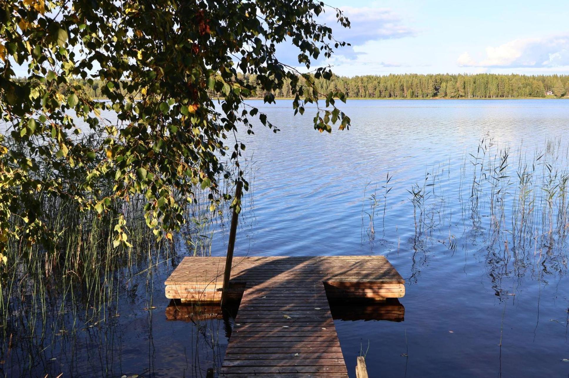 Kotatuli Forest Lodge Rovaniemi Buitenkant foto