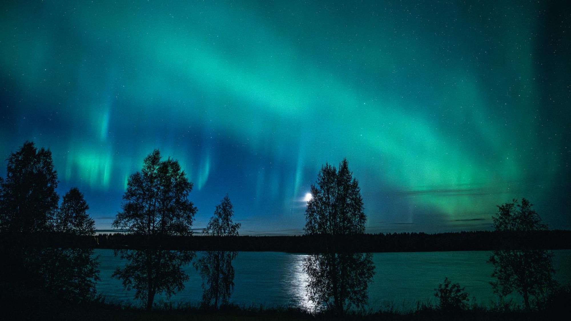 Kotatuli Forest Lodge Rovaniemi Buitenkant foto