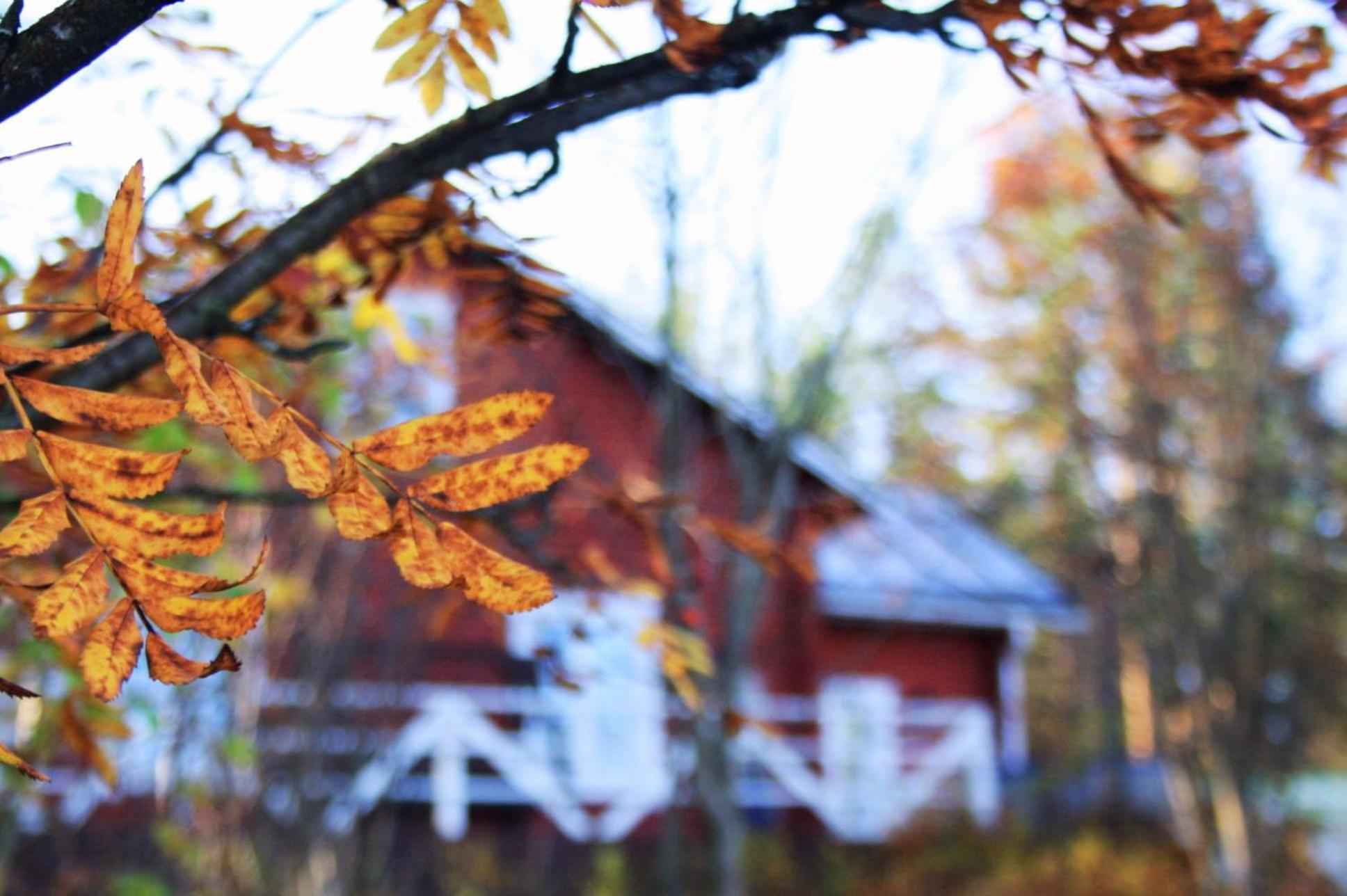 Kotatuli Forest Lodge Rovaniemi Buitenkant foto