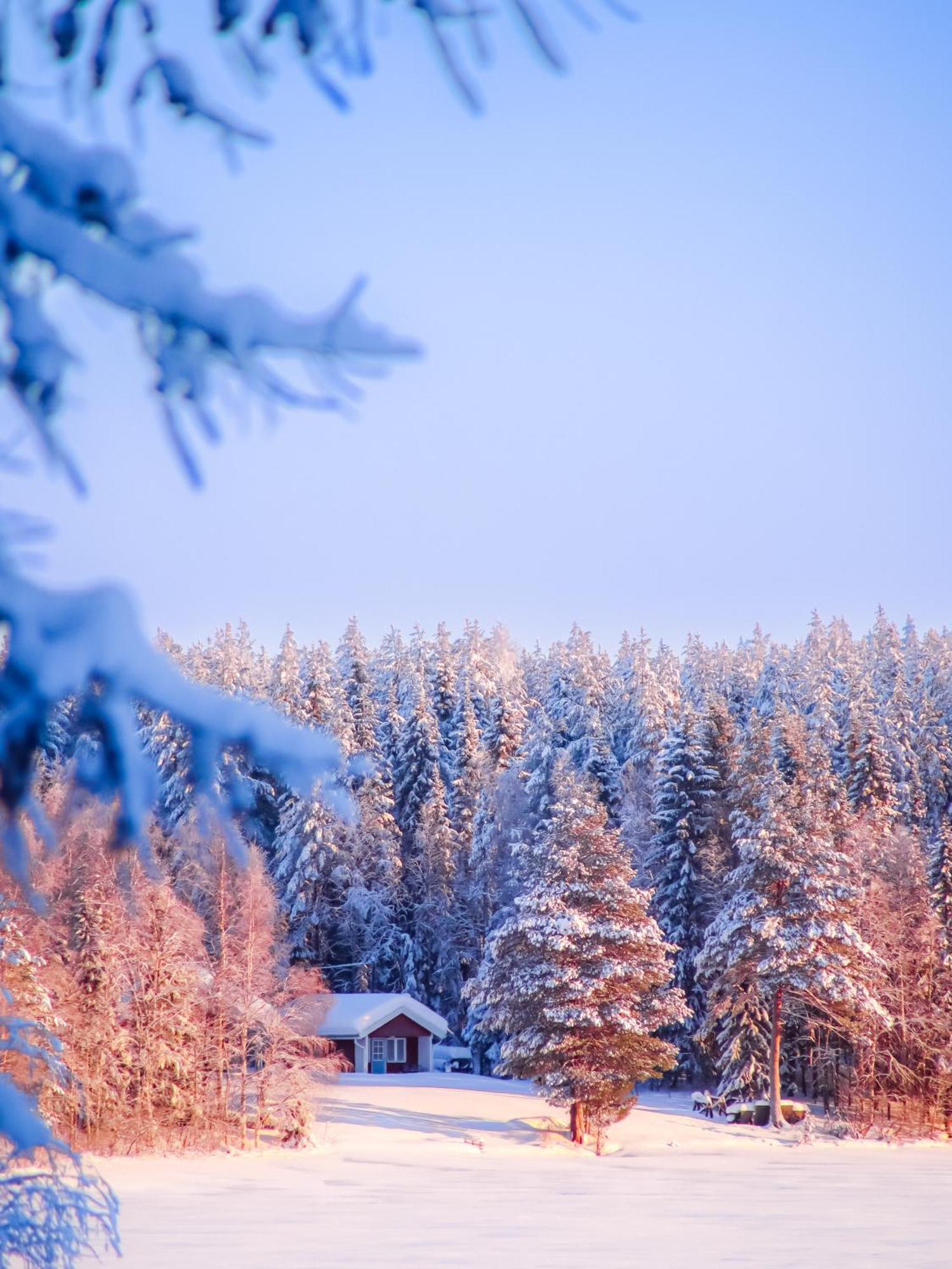 Kotatuli Forest Lodge Rovaniemi Buitenkant foto