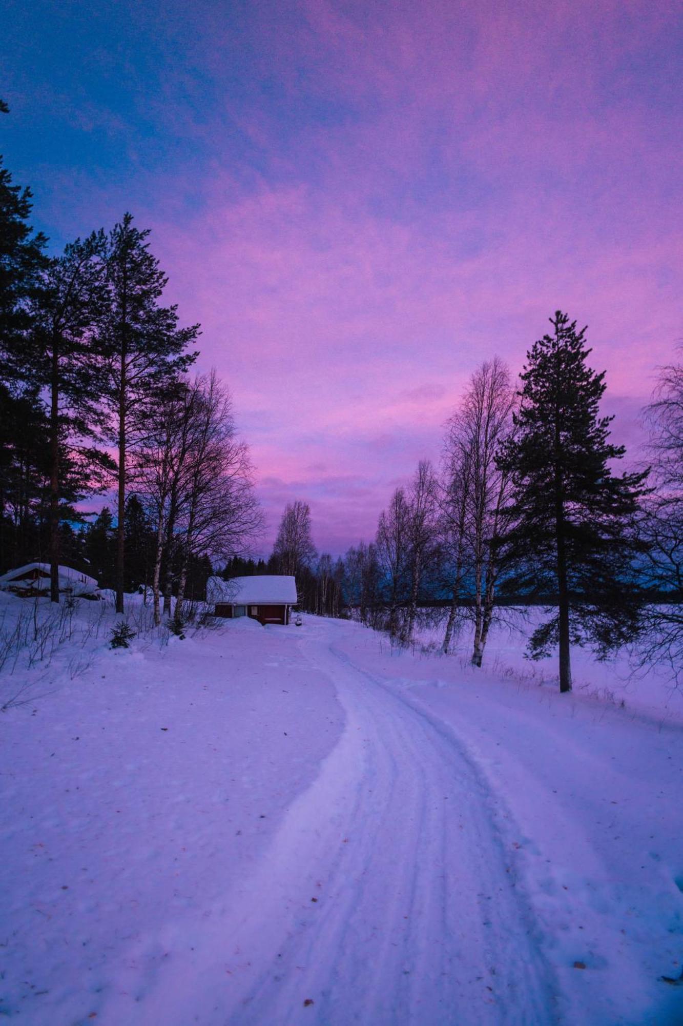 Kotatuli Forest Lodge Rovaniemi Buitenkant foto