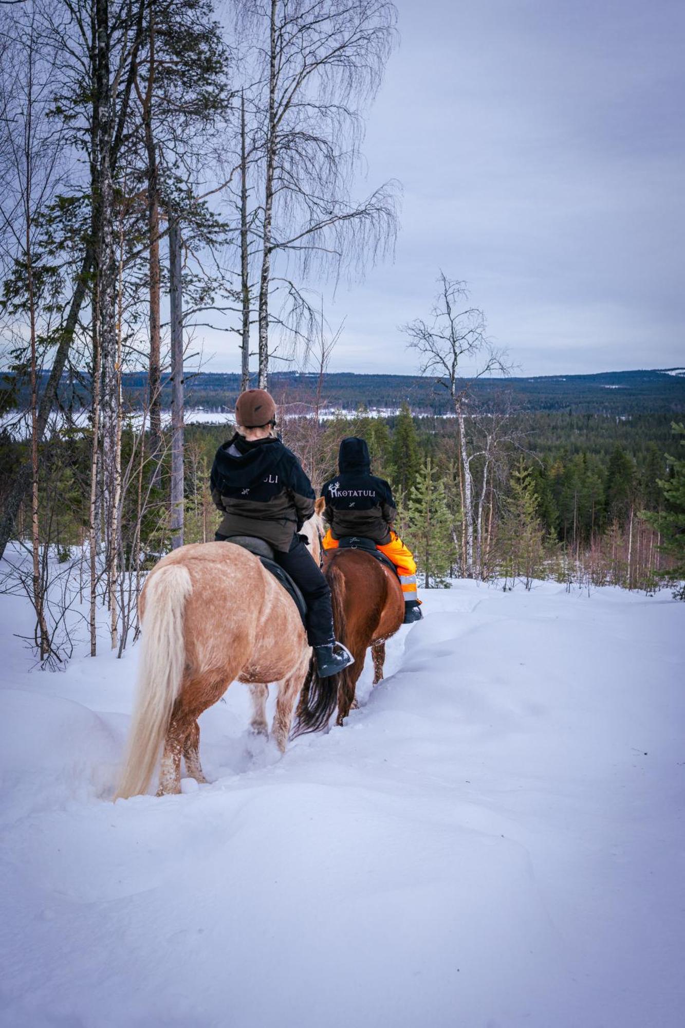 Kotatuli Forest Lodge Rovaniemi Buitenkant foto