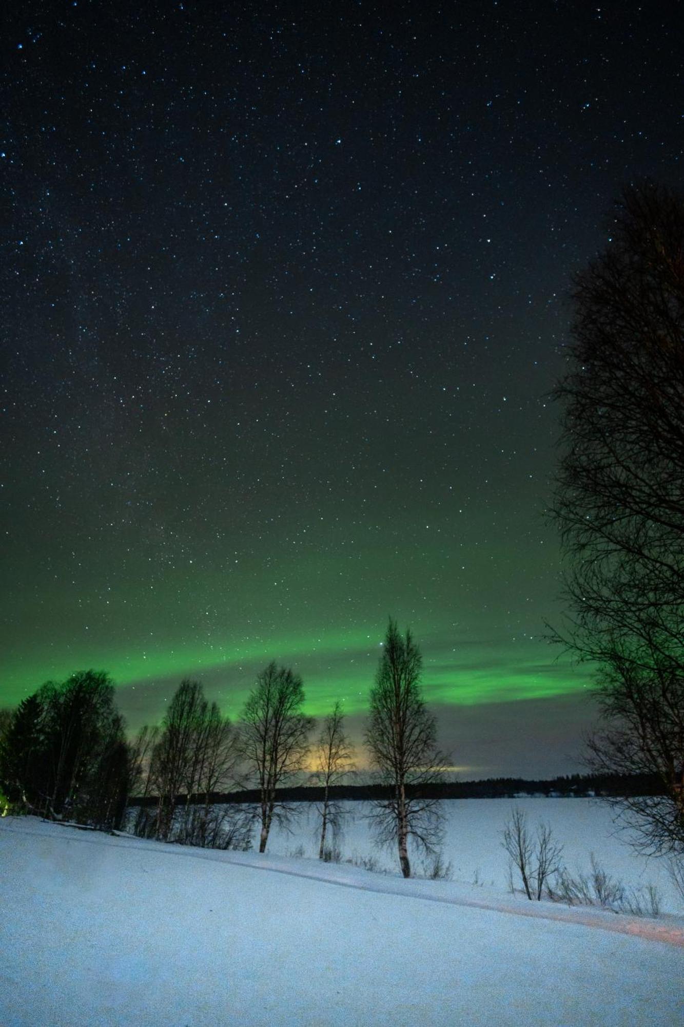 Kotatuli Forest Lodge Rovaniemi Buitenkant foto