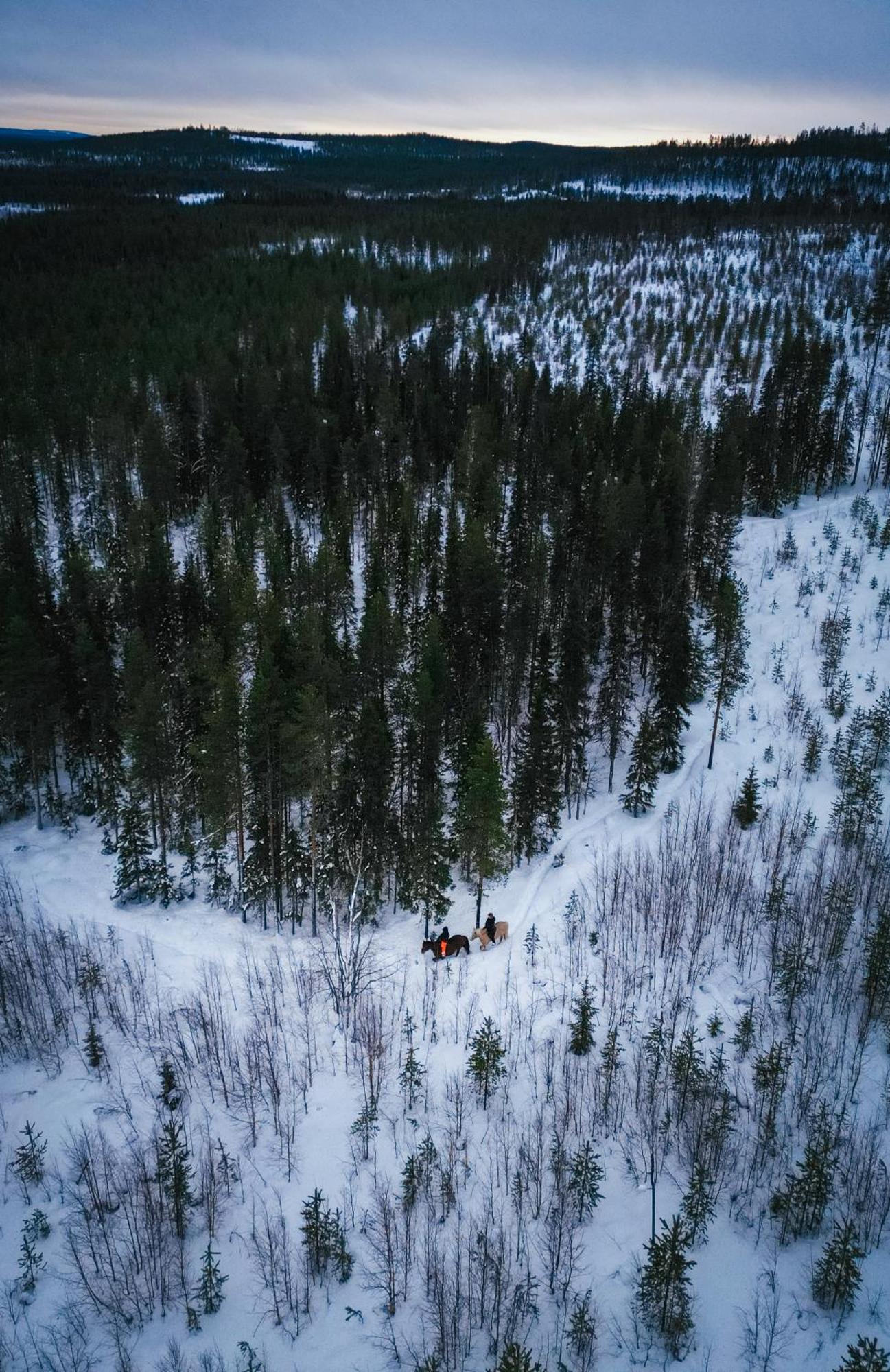 Kotatuli Forest Lodge Rovaniemi Buitenkant foto
