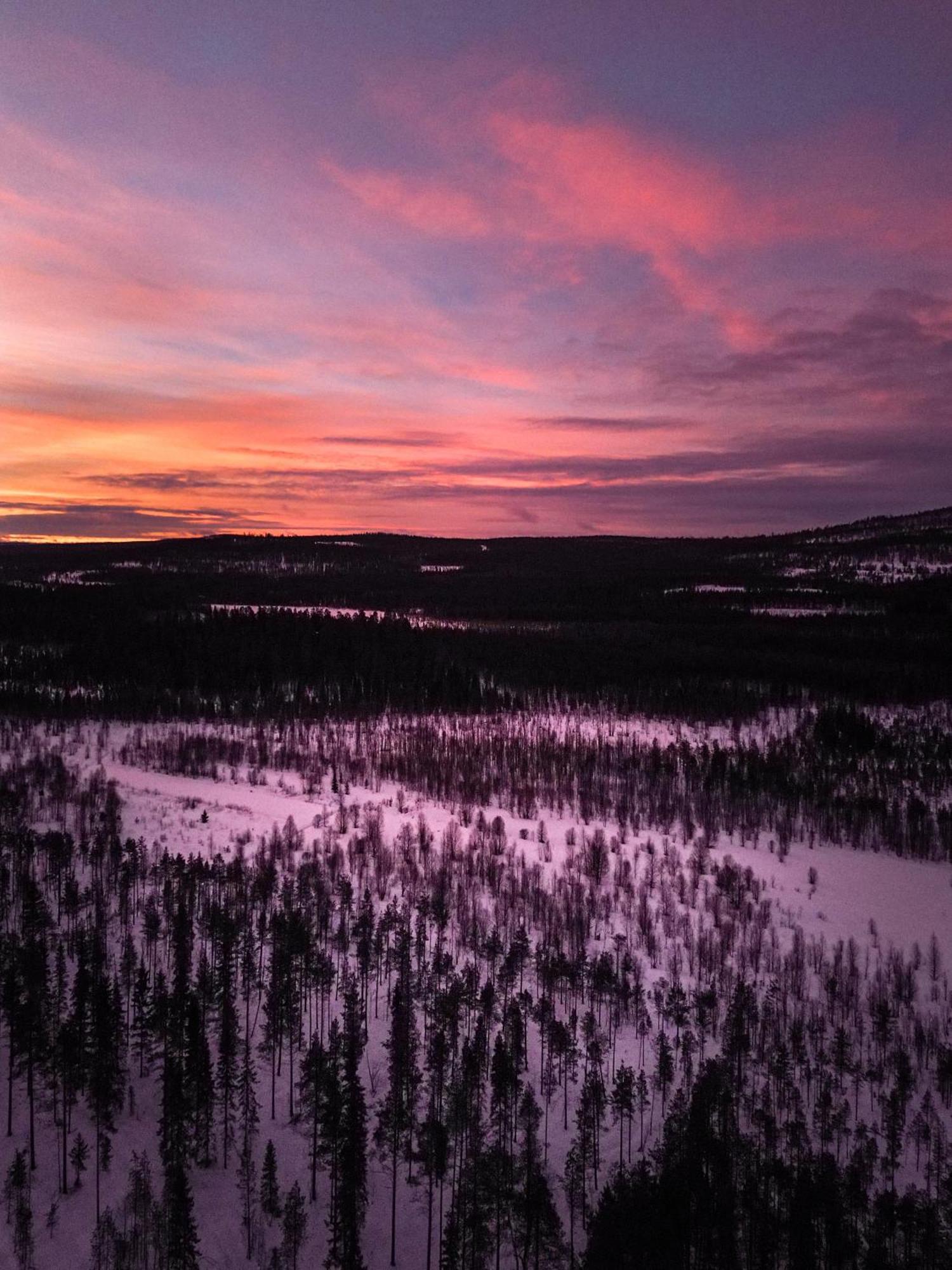 Kotatuli Forest Lodge Rovaniemi Buitenkant foto