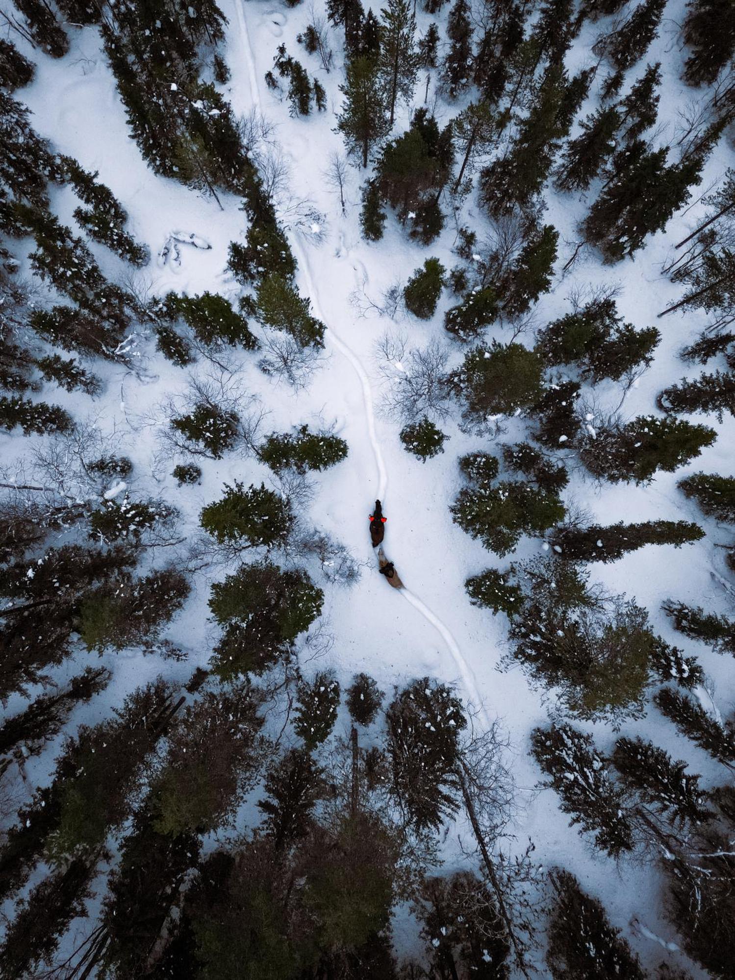 Kotatuli Forest Lodge Rovaniemi Buitenkant foto